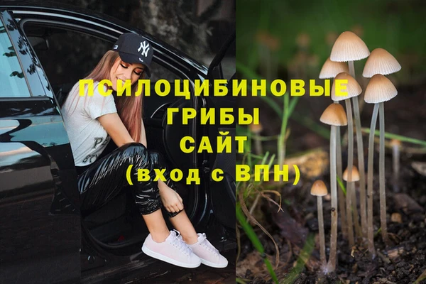хмурый Коряжма
