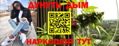 стаф Кингисепп