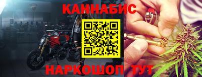 стаф Кингисепп