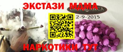 стаф Кингисепп