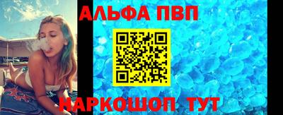 стаф Кингисепп