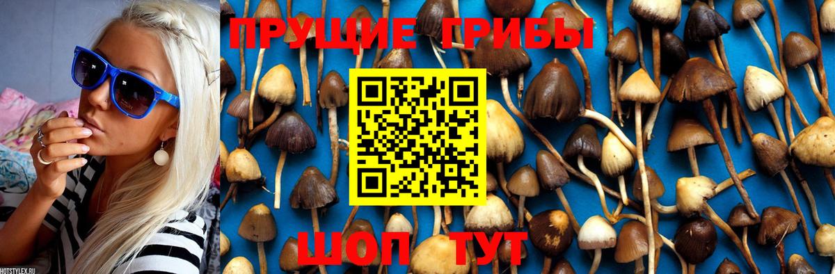 Галлюциногенные грибы Magic Shrooms Коркино